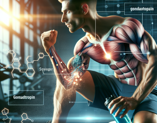 Gonadotropina: un potenziale aiuto per la riparazione muscolare dopo l'allenamento